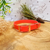 Orange Biothane Vegan Dog Collar